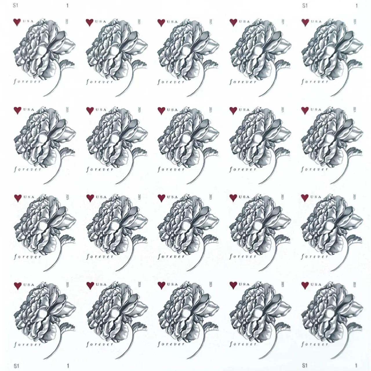 Vintage Rose  Forever   2015