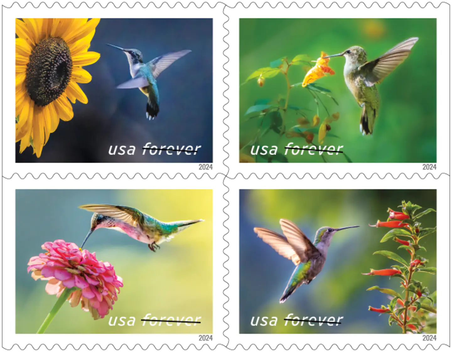 Garden Delights 2024